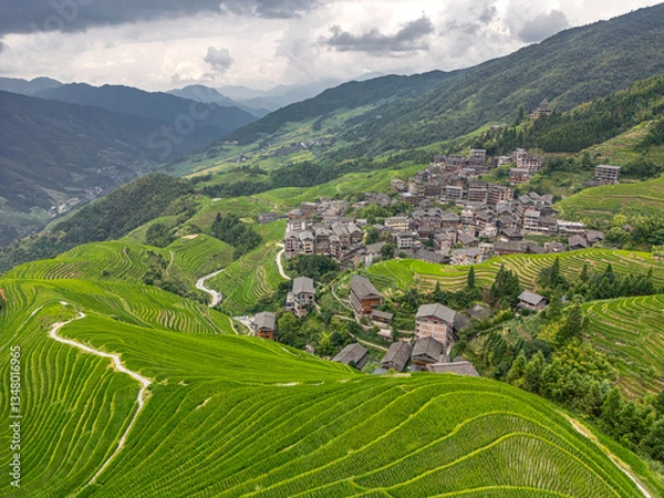 Fototapeta Lines of the View of Longji rice terraces going down the mountain in Guangxi province, China
