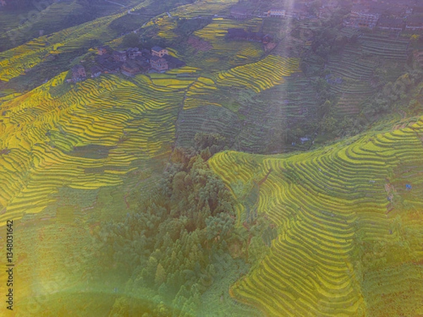 Fototapeta Aerial view of Longji Rice Terraces in China