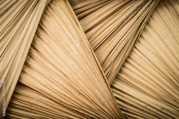 Fototapeta Triangle roofing