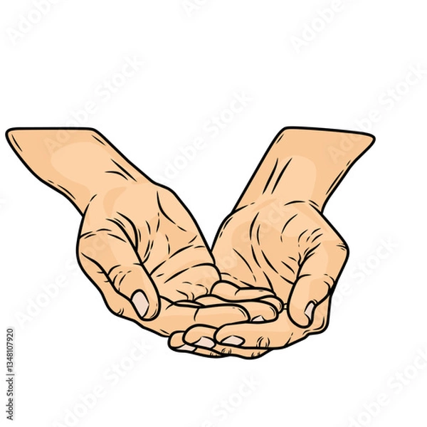 Fototapeta vector two palms facing up showing a pose for praying, asking, holding something