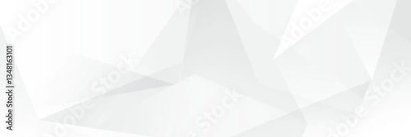Obraz Abstract white Geometric banner design background.
