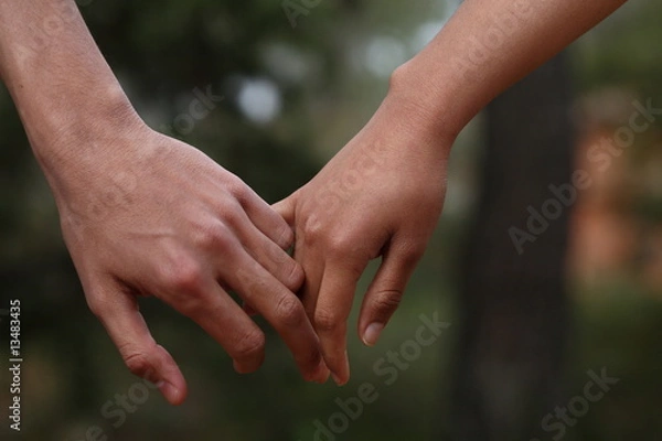 Fototapeta Lovers couple holding hands in a forest (summer/spring)