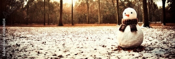 Fototapeta Snowman in a snowy park