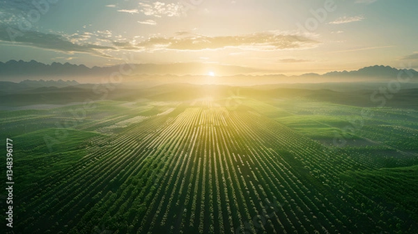 Fototapeta Smart Agriculture: Advanced Technology Transforming Vast Green Fields for a Sustainable Future generate by AI