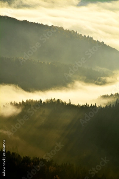 Obraz Polish mountains at morning. Fot. Konrad Filip Komarnicki / EAST NEWS Krynica - Zdroj 12.11.2015 Wschod slonca na Jaworzynie Krynickiej. Poranne mgly i promienie swiatla.