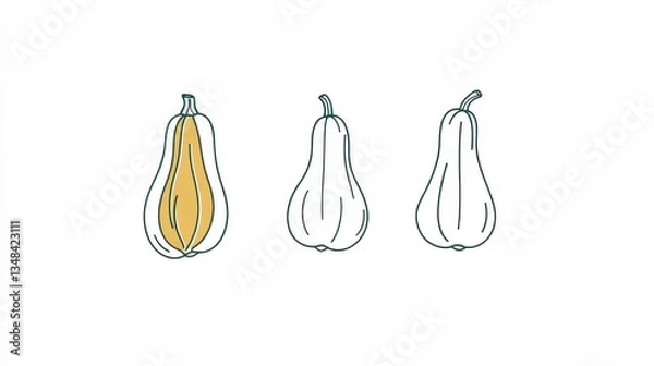 Fototapeta Three Butternut Squash Variations: Line Art Illustration of Autumn Gourds - Minimalist Vector Graphics for Fall Harvest, Thanksgiving, and Autumnal Designs