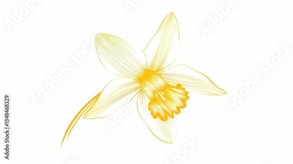 Fototapeta A daffodil icon with long, pointed petals and a trumpet-shaped center, neatly outlined on a white background.