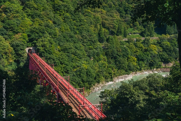 Fototapeta やまびこ展望台から見える黒部峡谷