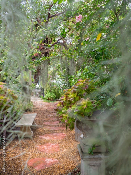 Fototapeta Walkway deep in to the park with spanish moss blurred foreground