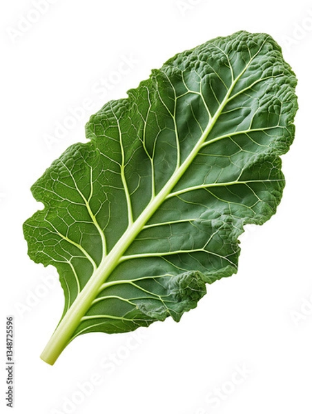 Fototapeta A fresh, vibrant green leaf showcasing intricate veins and a smooth texture.