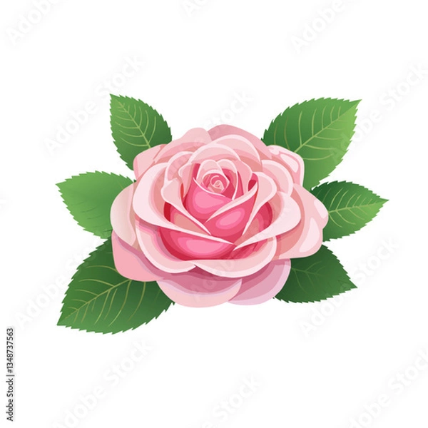 Obraz rose flower image vector,rose design,rose with pink color vector design