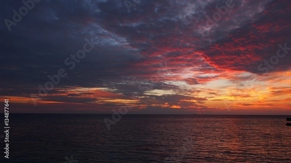 Fototapeta OLYMPUS DIGITAL CAMERA