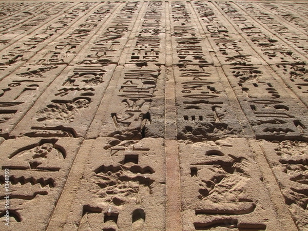 Obraz hieroglypic matrix