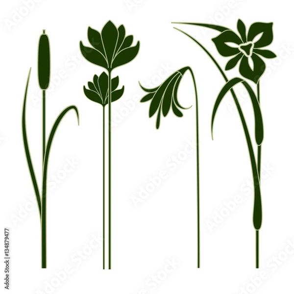 Fototapeta Vector art nouveau elements.