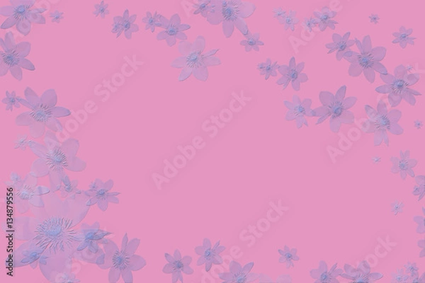 Fototapeta greeting card with flowers,empty blank