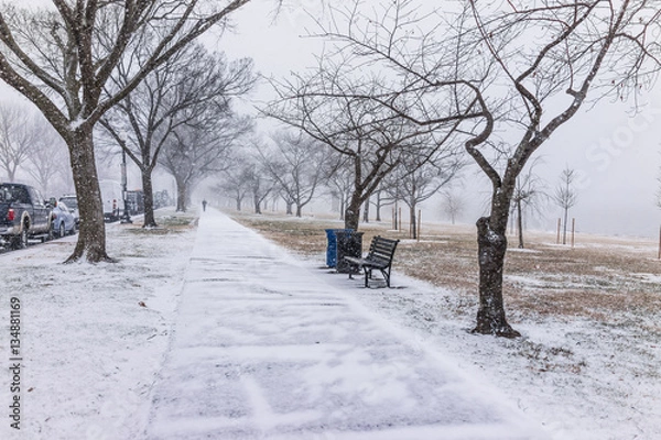 Fototapeta Winter snow storm with person walking on sidewalk on West Potoma