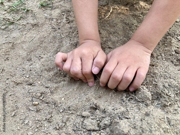 Fototapeta Hands of a preschool boy playing with sand outdoors. Concept of promoting learning, play, child development.