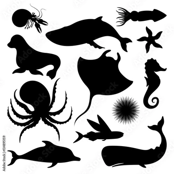 Obraz Silhouettes of fish and sea animals isolated black and white vector illustration minimal style