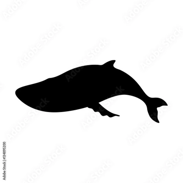 Obraz Silhouettes of blue whale, sea animals isolated black and white vector illustration minimal style