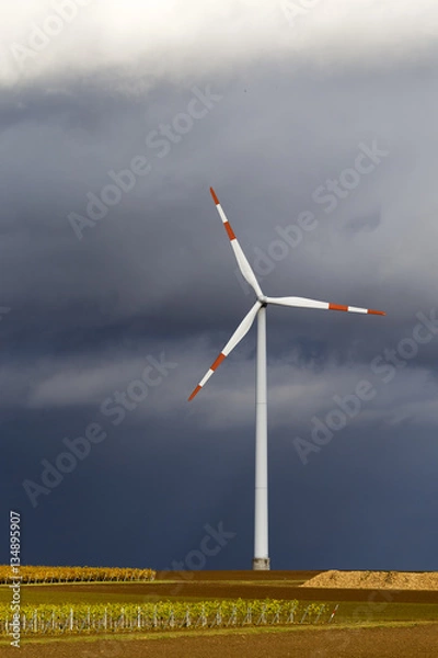 Fototapeta One wind turbine in the field with vineyard on dark gloomy day