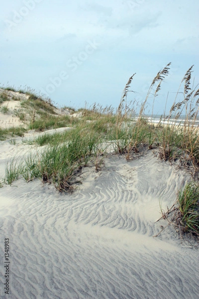 Obraz beach dunes