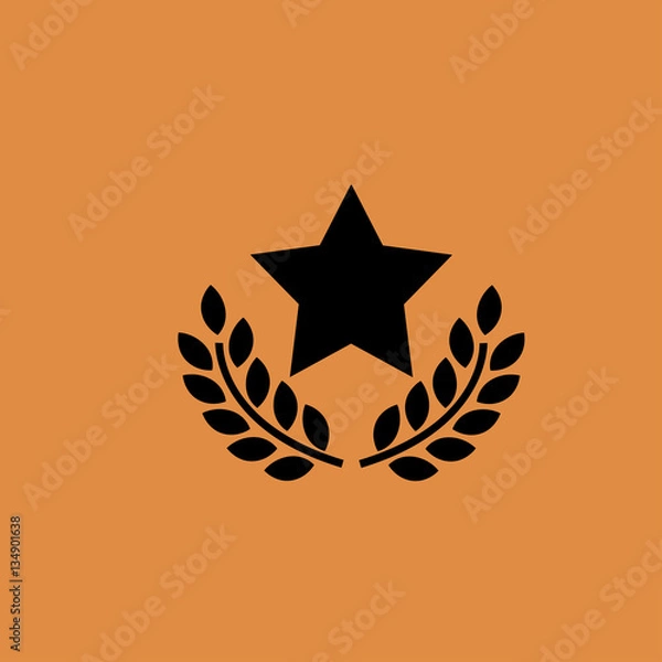 Obraz Star Icon. flat design