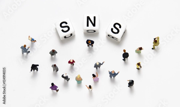 Obraz SNS