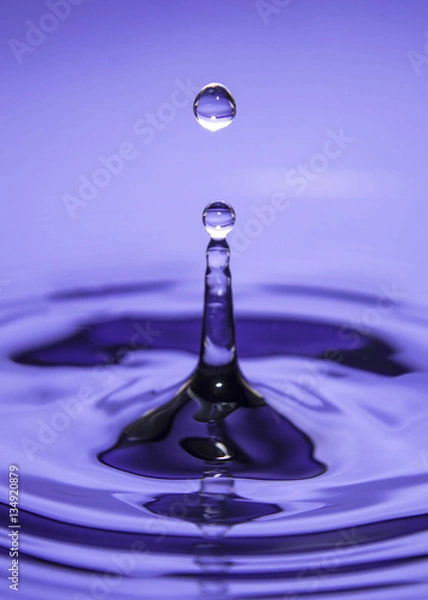 Obraz Purple Water Drop
