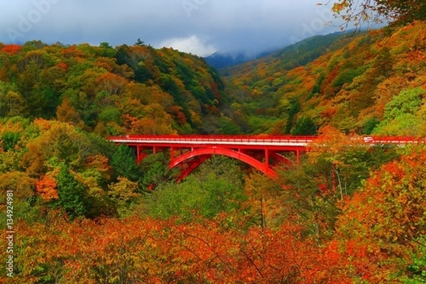 Obraz 【山梨県】東沢大橋の紅葉