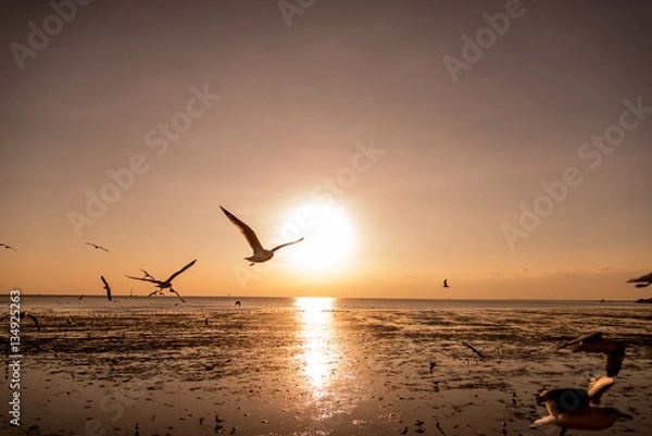 Obraz Seagulls silhouettes in flight at sunrise