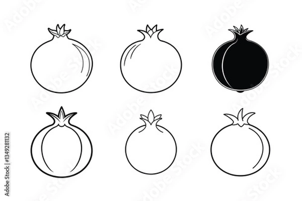 Obraz Pomegranate – Punica granatum line art vector illustration