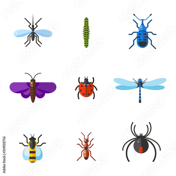 Fototapeta Insect icon flat set isolated on white background