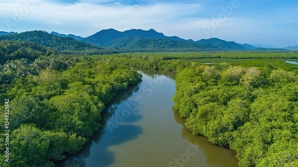Fototapeta Expansive views of forests and mangroves with towering mountains in the background, featuring tranquil water and lush green, showing natural beauty and cultural heritage.
