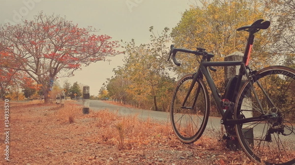 Obraz riding a bicycle