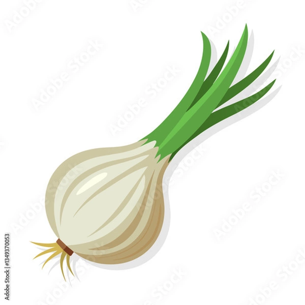 Fototapeta Onion isolated on white background. Spring season scallion vegetable. Cartoon style. Vector illustration.