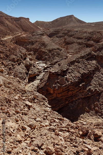 Fototapeta In the area of ​​the Netafim spring near Eilat. 1