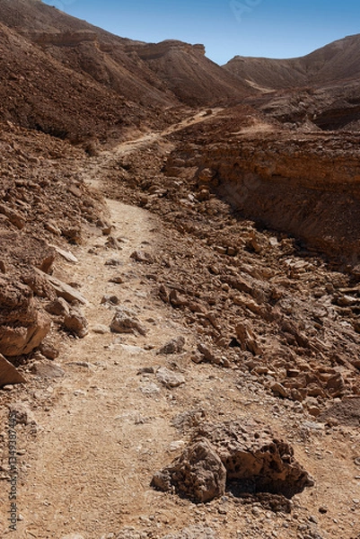 Fototapeta In the area of the Netafim spring near Eilat. 2