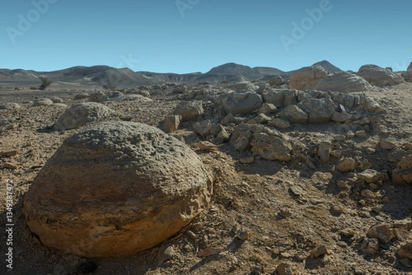 Fototapeta Bulbusim,  at the bottom of the ancient Tethys Ocean on a sunny day