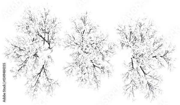 Obraz Top view snowy tree, winter illustration, white covered tree, seasonal cut out, transparent background, png image, snow tree, nature winter, snowy winter scene