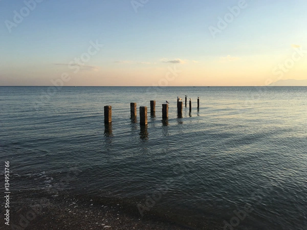Obraz Seagulls on a pole