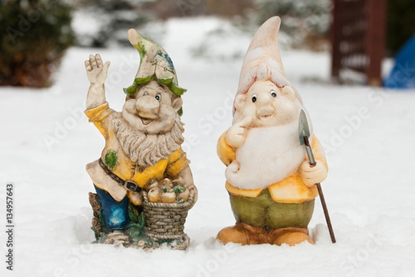 Fototapeta Couple of garden dwarves in winter garden. Funny garden gnomes on the snow in the yeard. Good mood elves in winter in the snowy backyard. Good vibrations, winter garden with couple of cheerful gnomes