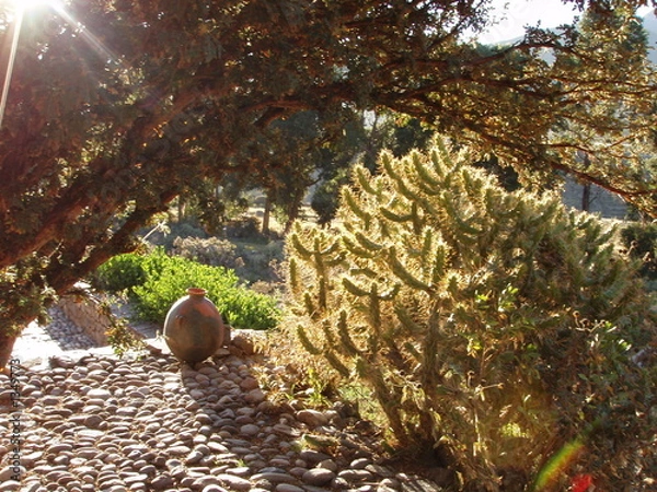 Obraz sun-dappled nature scene