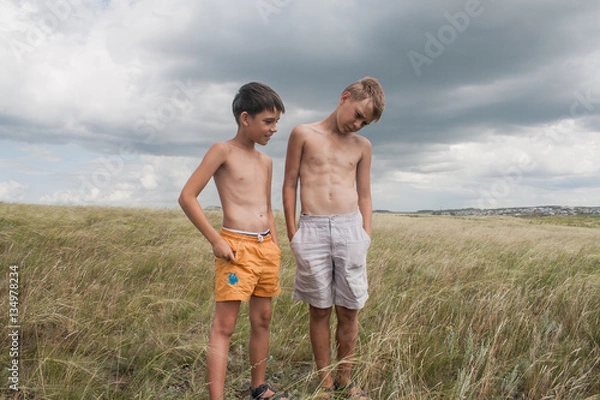 Fototapeta young boys standing in a field. boys in shorts. Boys stand in the desert. feather in the field. boy looking up at the sky. dreamer. two brothers. two friends. children playing in the field.