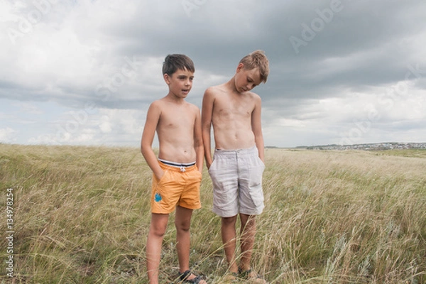 Fototapeta young boys standing in a field. boys in shorts. Boys stand in the desert. feather in the field. boy looking up at the sky. dreamer. two brothers. two friends. children playing in the field.
