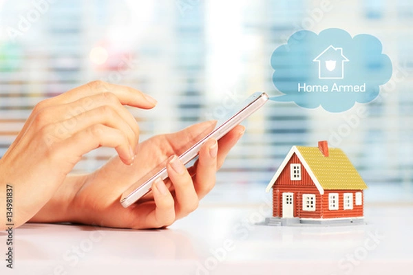 Fototapeta Home security system
