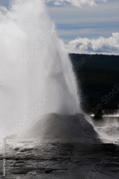 Obraz Yellowstone Gyser