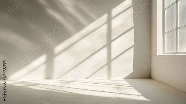 Fototapeta light and shadow with white color background 