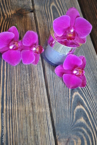 Obraz Krem i orchidee