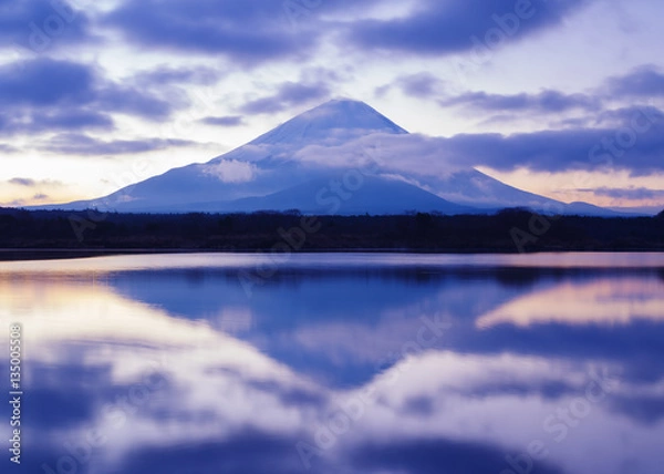 Fototapeta 朝の富士山