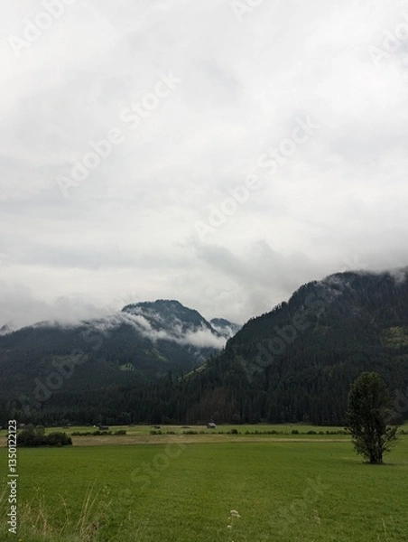 Obraz landscape with mountains